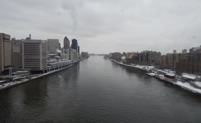 Bondinho da Rooselveld Island