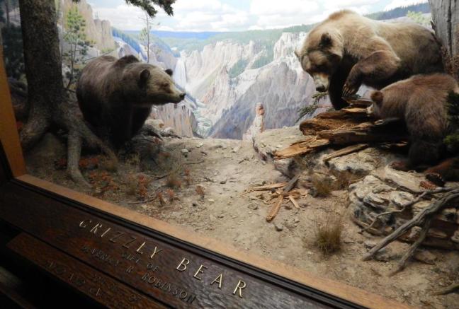 Museu de História Natural de Nova York