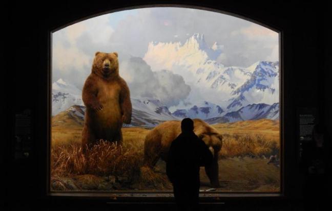 Museu de História Natural de Nova York