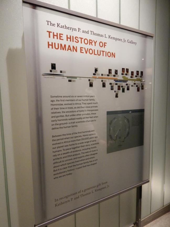 Museu de História Natural - Evolução